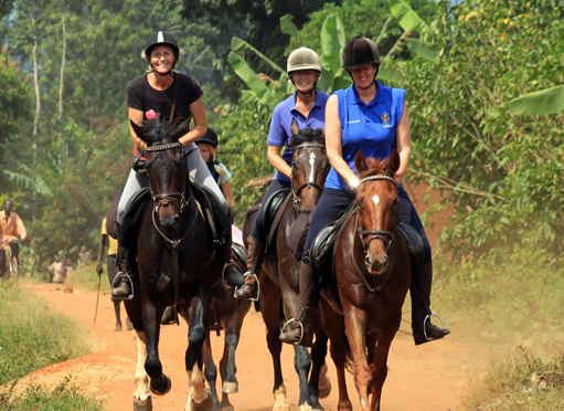 Horse riding experience