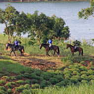 1hr mixed group horse ride